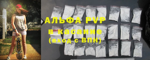 индика Вязьма