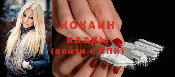 индика Вязьма