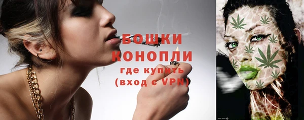 молекула духа Вязники