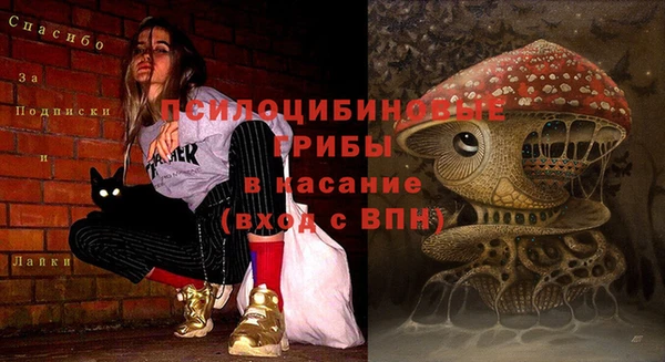 спайс Вяземский