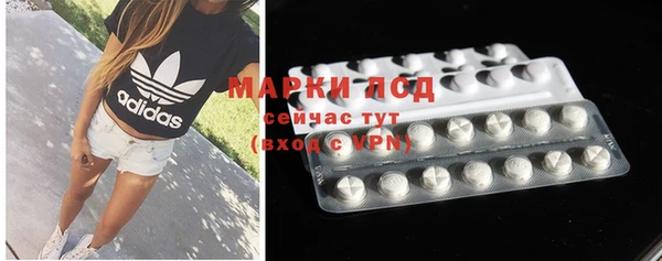 спайс Вяземский