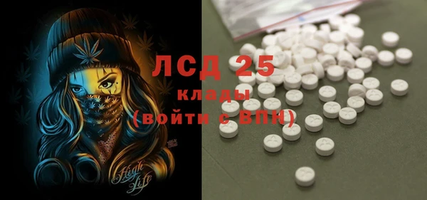 шишки Горняк