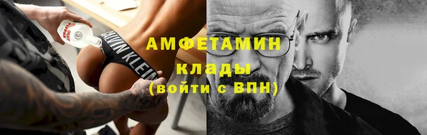 индика Вязьма