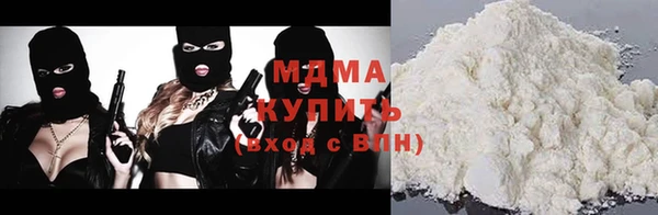 шишки Горняк