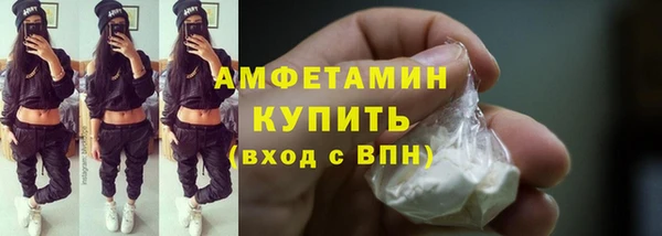 индика Вязьма