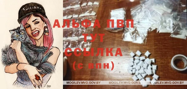 молекула духа Вязники