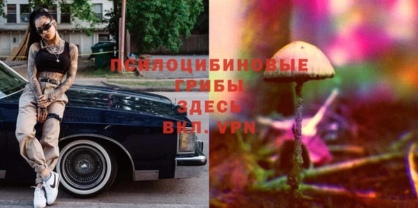 спайс Вяземский