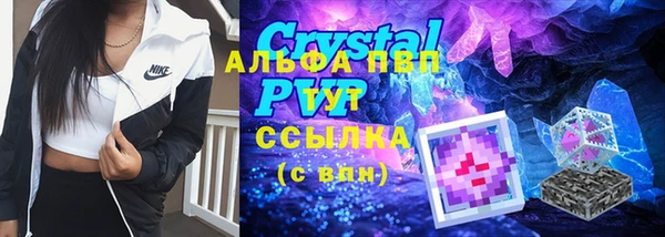спайс Вяземский