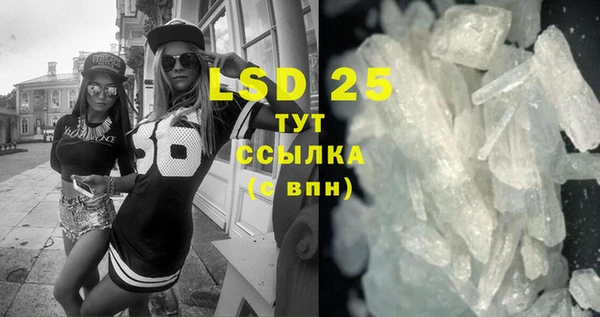 индика Вязьма