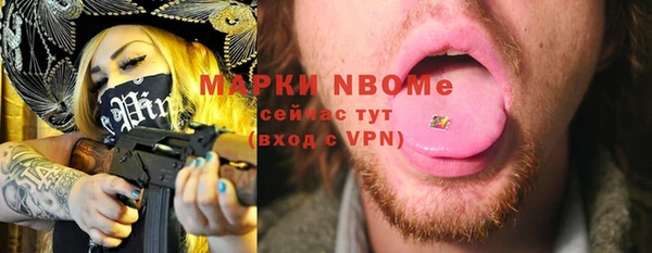 индика Вязьма