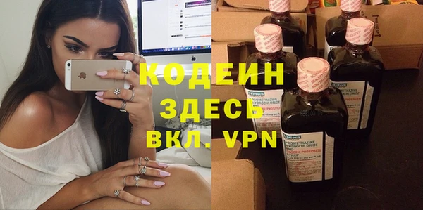 индика Вязьма