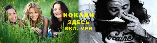 apvp Верея