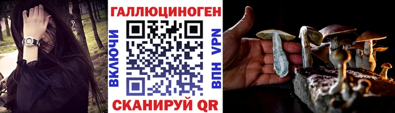Псилоцибиновые грибы мицелий  Дзержинский 